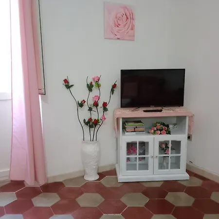 Vacanze Le Rose *