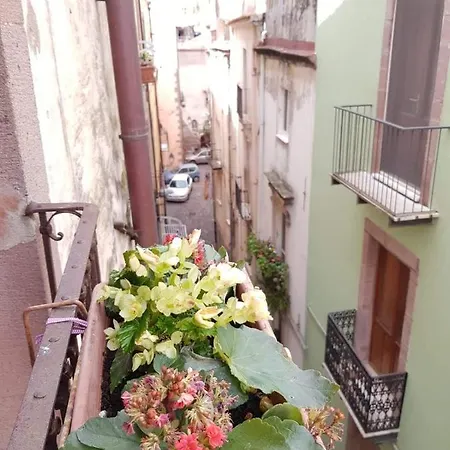 Vacanze Le Rose *